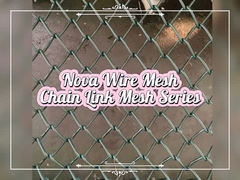 Plastic Coated Chain Link Fence Mesh / Heavy Duty Chain Link Fencing