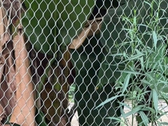 Stainless Steel Rope Mesh Netting Metal Wire Mesh Ferrule Zoo Mesh Diamond-Shaped Grid Structure