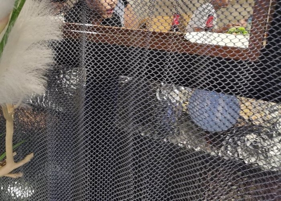 Architectural Metal Mesh Curtain 2mm Wire Diameter 40-85% Open Area