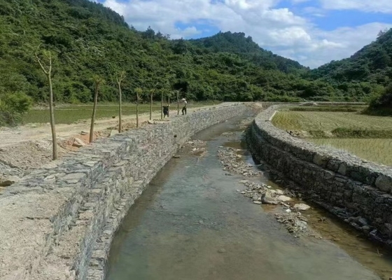 Gabion Mesh (6cm x 8cm) | Perfect for Gardening and Landscaping, Hot-Dipped Galvanized