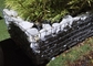 Rectangle Retaining Wall Gabion Baskets Galvanized Steel Wire Pvc Coated