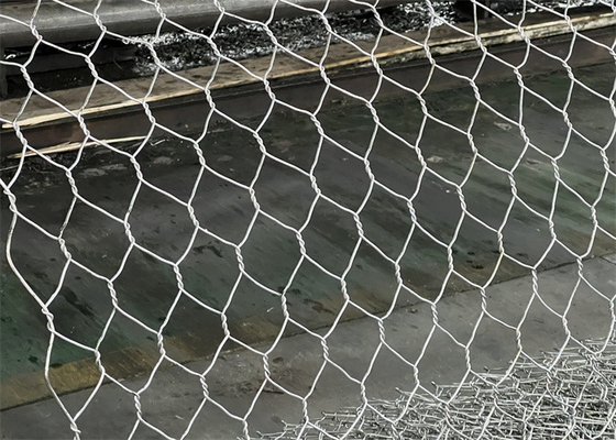 PVC Coated Galvanized Steel Hexagonal Wire Mesh Gabion Boxes with Customizable Cage Sizes