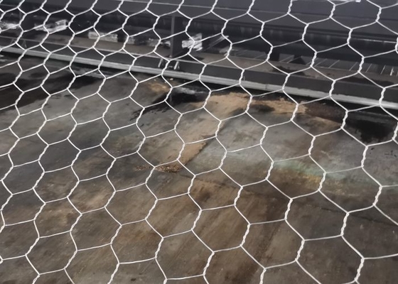 River Course Protection Metal Gabion Baskets with More Than 10 Years Lifespan