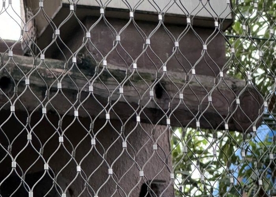 Rhomboid Hole Rockfall Prevention Netting with Ferruled Connection for Zoo