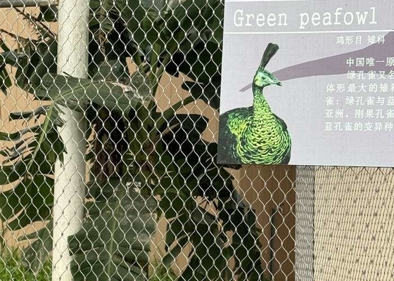 Stainless Steel Zoo Rope Mesh 83x138mm Rhomboid Hole for Animal Enclosures