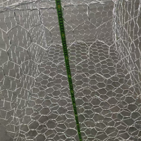 Galvanized PVC Coated Hexagonal Gabion Wire Mesh for Slope Stabilization