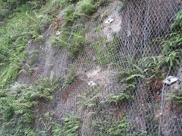 Galvanized Hexagonal Wire Mesh Hexagonal For Bank / Mountain Protection