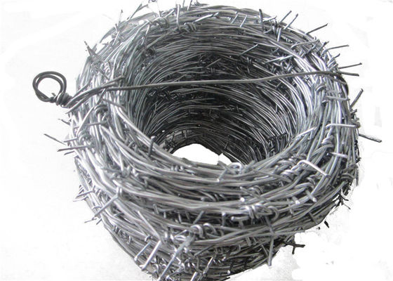 3.2mm Galvanized Razor Barbed Wire Coil 1.5-3cm Barbs